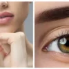 labios-cejas